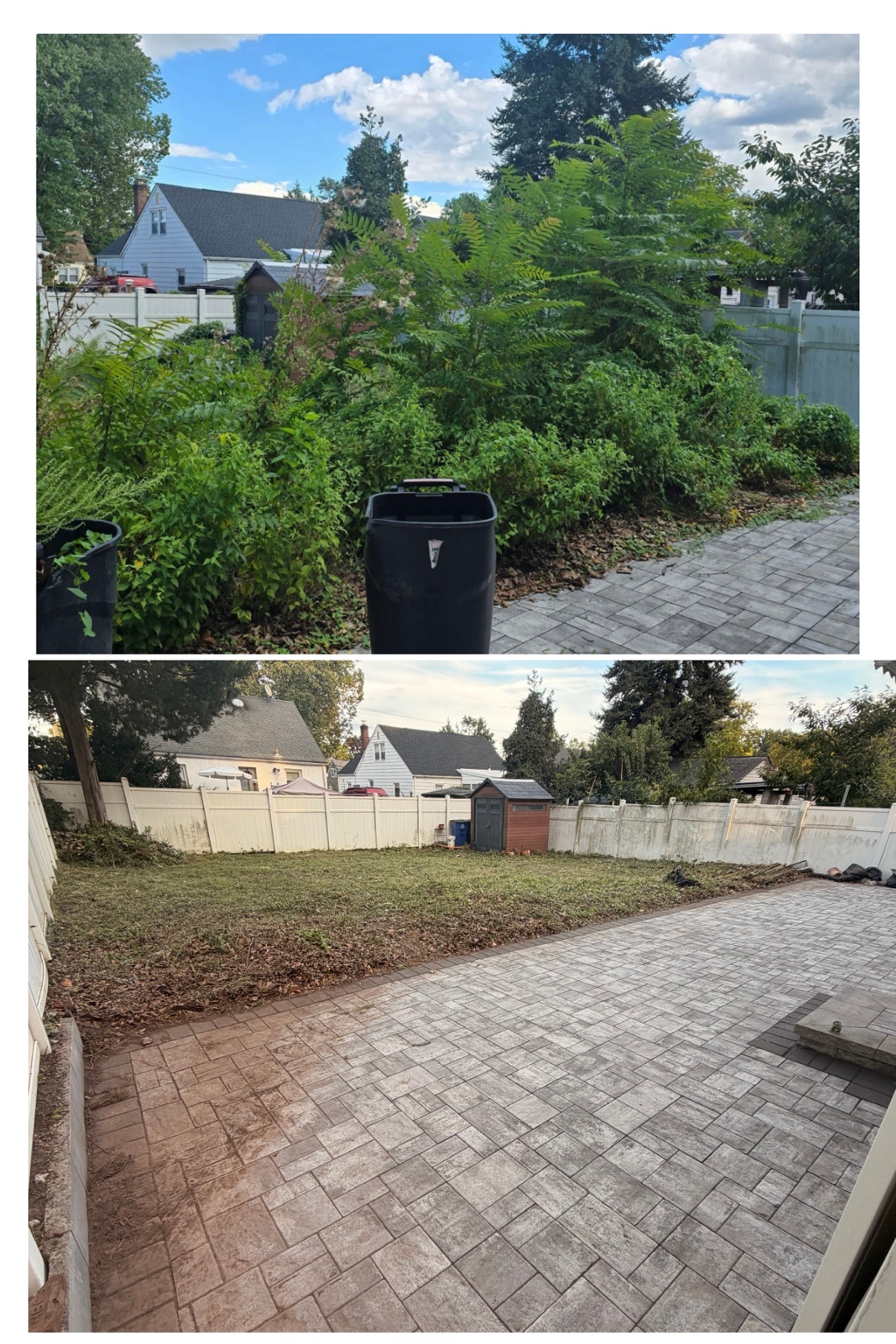 Heavily overgrown backyard before service and fully cleared yard and paver patio after cleanup